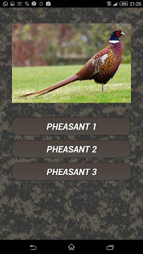 Turkey hunting calls screenshot 4