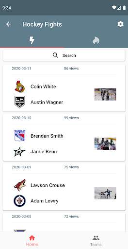 Hockey Fights screenshot 2