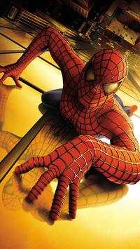 Spiderman Wallpaper HD screenshot 6