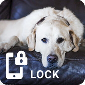 Labrador Retriever Dog PIN Security Pattern Locker icon