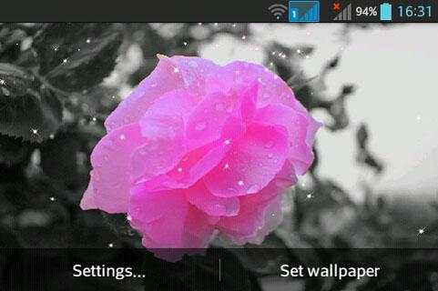 Rose screenshot 6
