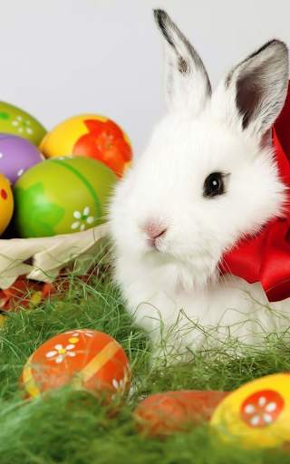 Easter Bunny Live Wallpaper HD screenshot 9