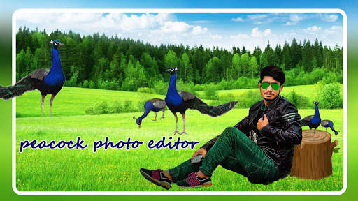 Peacock Photo Editor screenshot 3