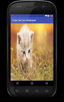 Cutecat Live Free Wallpaper screenshot 6