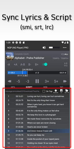 Audio Loop Player, Repeat Player, with Web Browser 4 تصوير الشاشة
