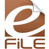 eFile Bihar 1.1.1