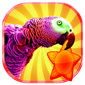 Spring Live Wallpapers icon