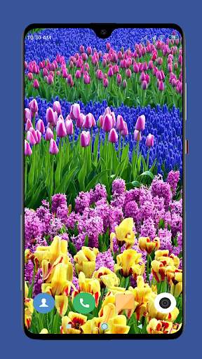 Beautiful Spring Wallpaper  4K screenshot 3