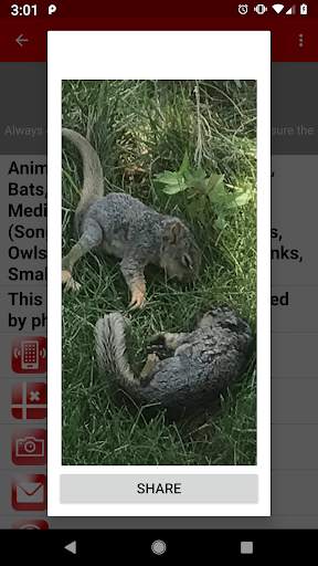 Animal Help Now screenshot 5