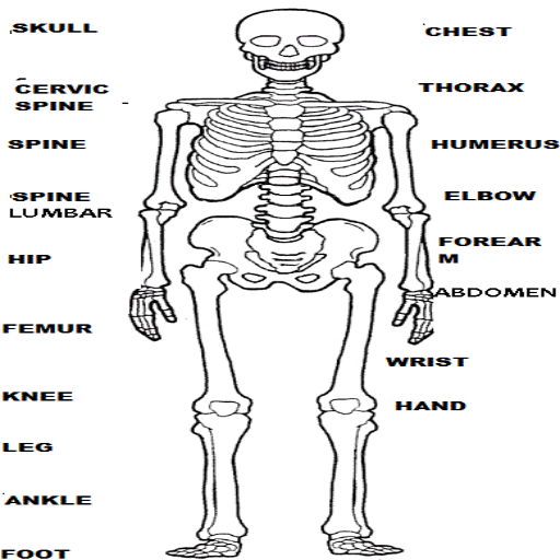 RADIOLOGY MANUAL icon