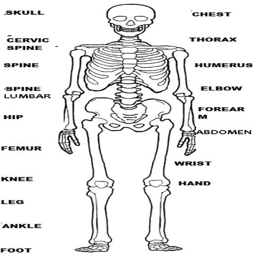RADIOLOGY MANUAL 9.8