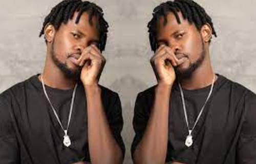 GHANASONGS FAMEYE & BSHERIFF screenshot 4