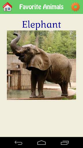 Animal Kingdom screenshot 5