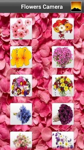 Flowers Camera screenshot 7