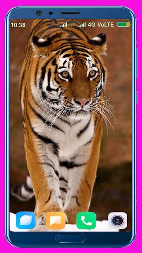 Tiger Wallpaper Best 4K screenshot 10
