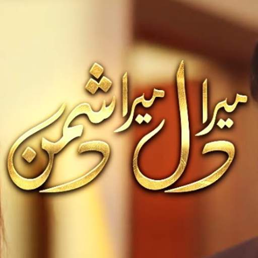 Drama Mera Dil Mera Dushman 1.1