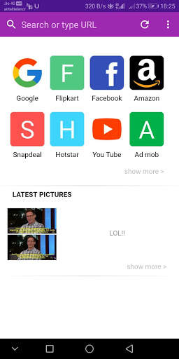 Additional browser screenshot 4