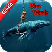 Guide for Blue Whale Suicide Game icon