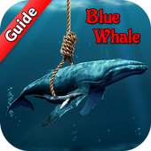 Guide for Blue Whale Suicide Game 1.0