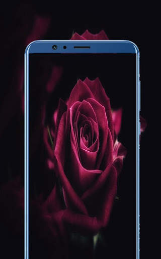 5000   HD Wallpaper Download 2019 screenshot 5