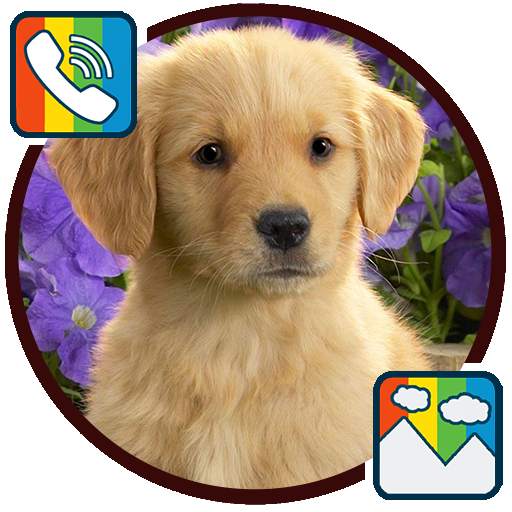 Dog - RINGTONES and WALLPAPERS 1.0