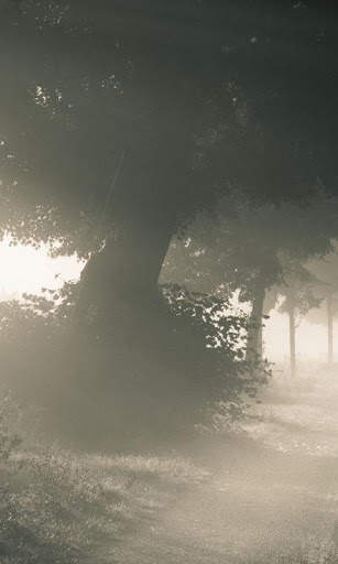 Mystic Night Live Wallpaper : 7fon & LWP screenshot 1
