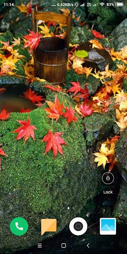 Autumn Wallpaper screenshot 7