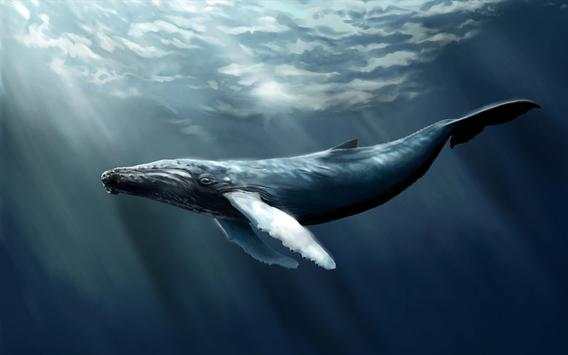 Guide for Blue Whale Suicide Game screenshot 2