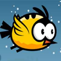 Bird to Bird