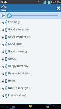 Speak English Daily screenshot 5