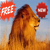 Animal Sounds icon