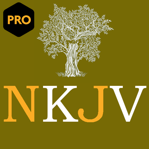 Holy Bible NKJV(Pro) icon