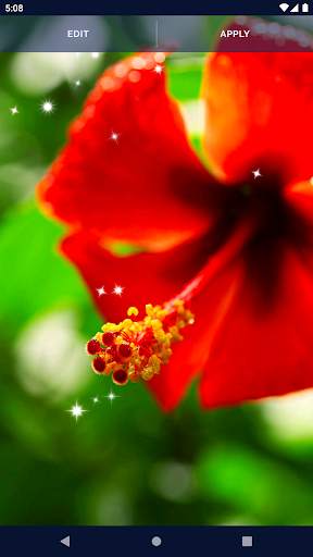Animated Wallpaper For Xiaomi screenshot 4