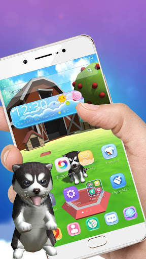 3D Cute Husky Live Wallpaper theme screenshot 1