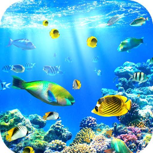 Aquarium Wallpaper HD 1.14