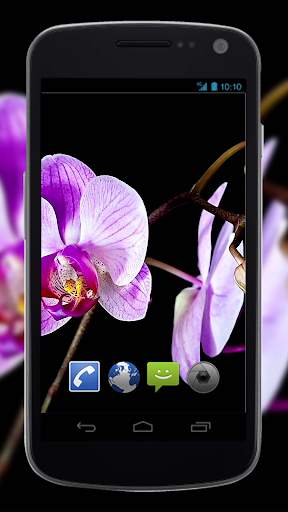 4K Flowers Video Live Wallpapers screenshot 3