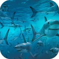 Sharks Live Wallpaper (FREE) logo