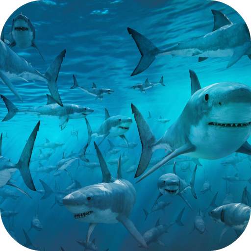 Sharks Live Wallpaper (FREE) 1.0