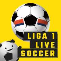 Schedule for Euro 2020 & World Cup 2022 - Golpanda logo