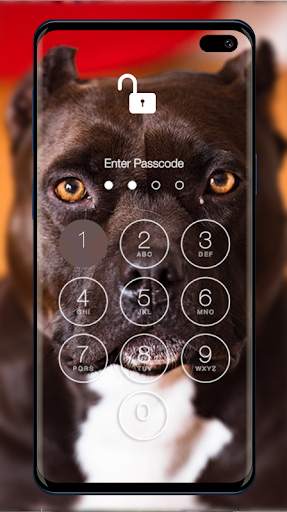 Pitbull Wallpapers & Lock Screen 1 تصوير الشاشة
