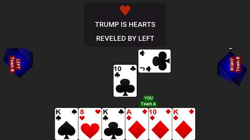 29 Card Game screenshot 5