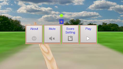 Sports : Cricket Batting screenshot 2