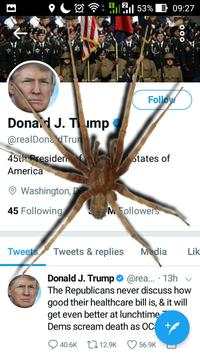 Spider On Screen Scary Joke - Hissing Joke screenshot 5