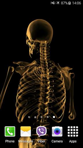 Skeleton Video Live Wallpaper screenshot 3