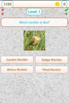 Bird image quiz screenshot 2