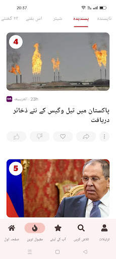 Urdu News screenshot 5