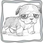 Coloring Book Education 1.0.2
