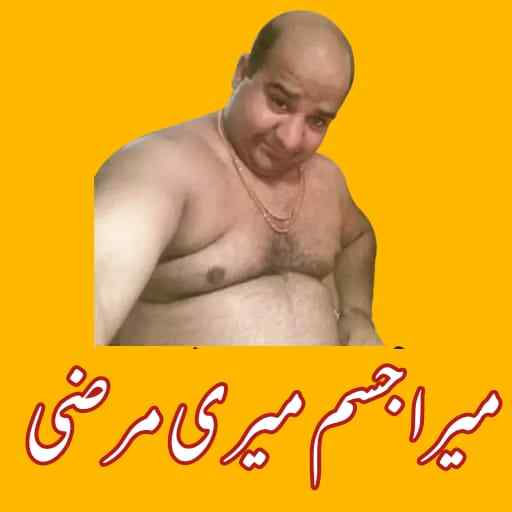 Funny Urdu Stickers for Whatsapp - Urdu Stickers screenshot 1