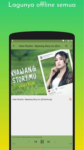 Lagu Intan Chacha Offline screenshot 5