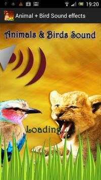 Animal   Bird Sound Effects screenshot 1